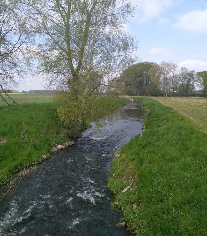 Gewässerpflege in Münster